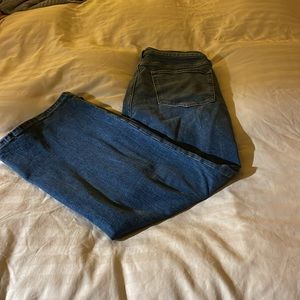 Banana Republic Premium Denim High Rise Wide Leg Crop Denim Jean 31 long